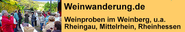 Weinwanderungen mit Weinproben im Weinberg im Rheingau, am Mittelrhein und in Rheinhessen